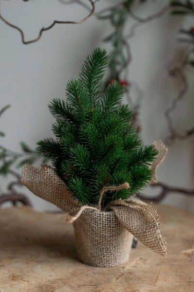 Hovedbilde Furutre i Jutepotte 30cm