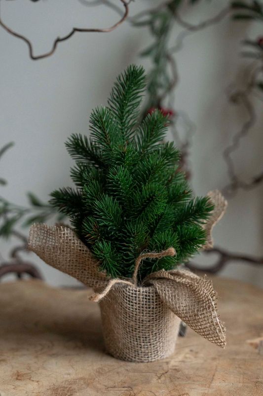 Furutre i Jutepotte 30cm