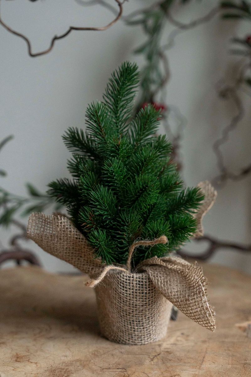 Furutre i Jutepotte 30cm