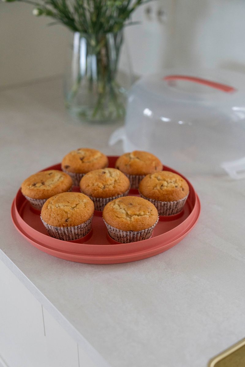 Kakeboks m/cupcake holder - Korall