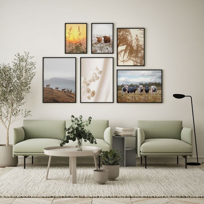 Hovedbilde Poster - Strå i Solnedgang