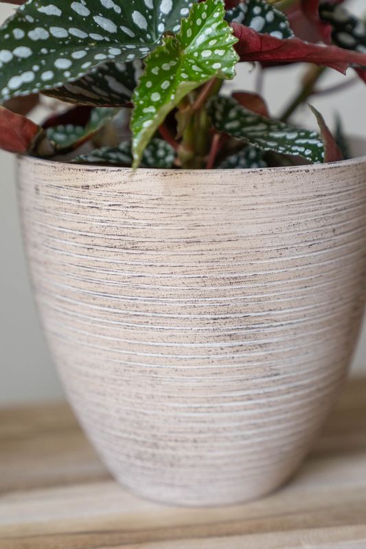 Blomsterpotte 3pk Beige Rustikk