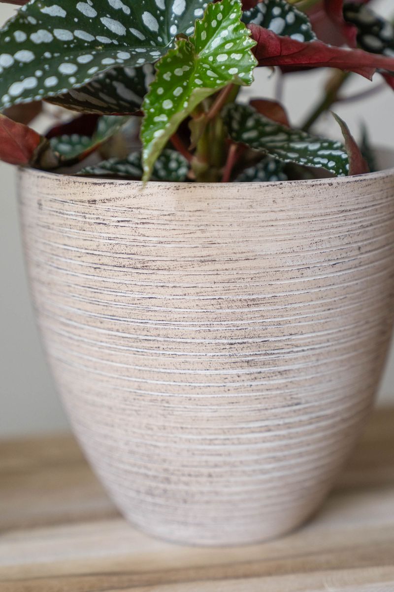 Blomsterpotte 3pk Beige Rustikk