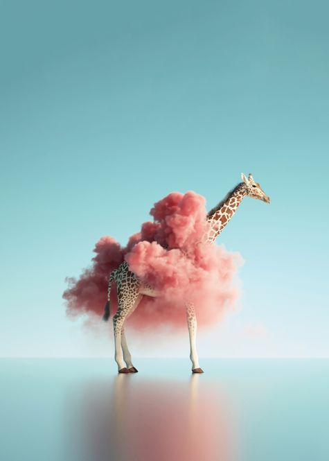 Hovedbilde Poster - Giraffsky