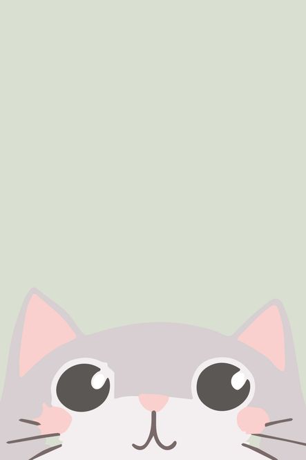 Hovedbilde Poster - Nærbilde Katt