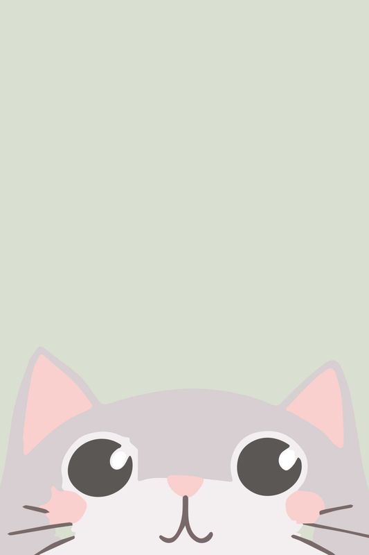 Poster - Nærbilde Katt