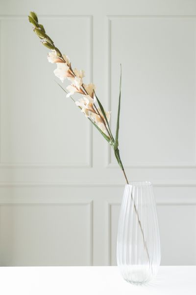 Hovedbilde Kunstig Blomst Gladiol 106cm - Beige