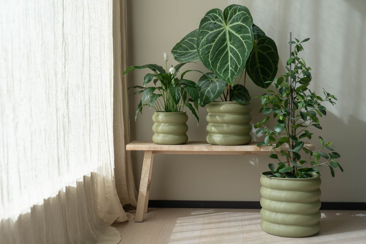 Blomsterpotte galvanisert – 3pk – lys grønn