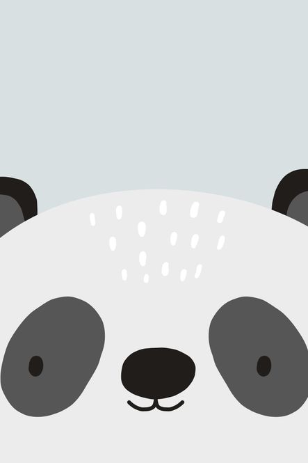 Hovedbilde Poster - Nærbilde Panda