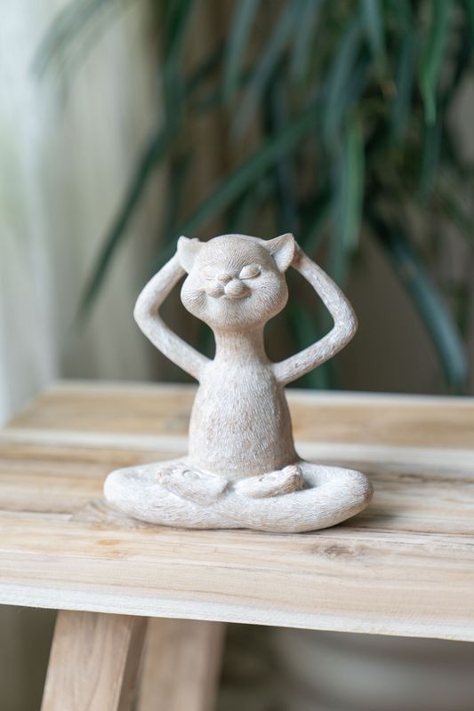 Yogakatt - Avslappet