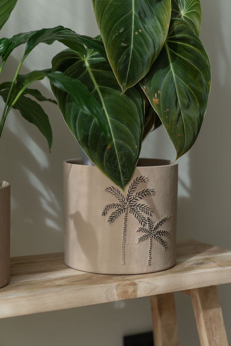 Blomsterpotte 3pk Palme Brun