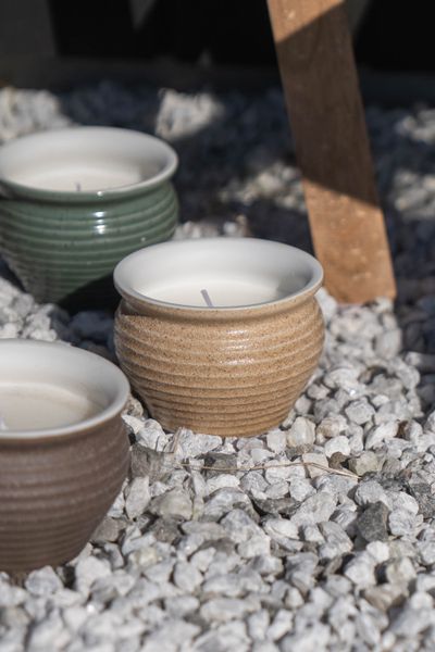 Hovedbilde Citronella- Mygglys i potte – sand