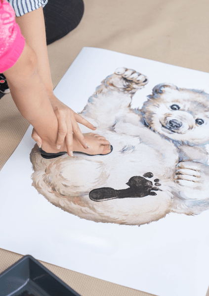 Hovedbilde Poster - Fotspor Quokka