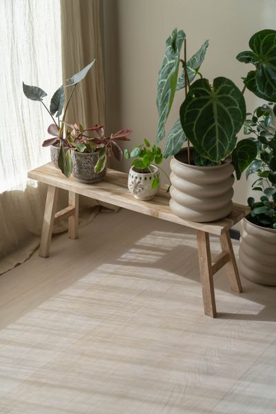 Hovedbilde Benk i teak – 100×25×42 cm
