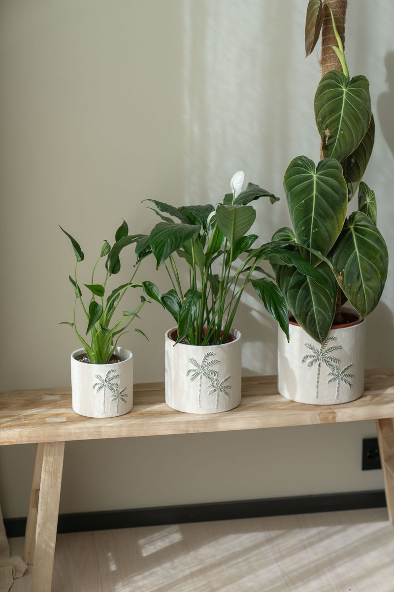 Blomsterpotte 3pk Palme Hvit