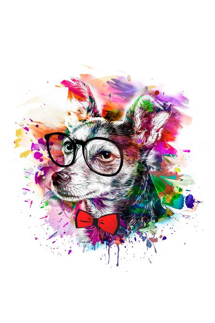 Hovedbilde Poster - Farge Hund 1
