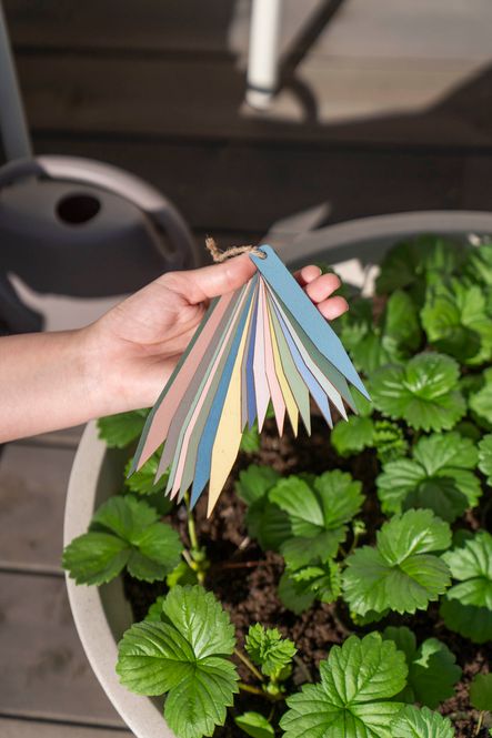 Hovedbilde Planteskilt 18pk