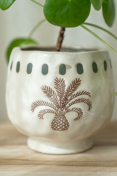 Hovedbilde Blomsterpotte tropisk - Ø13,5cm Brun Plante