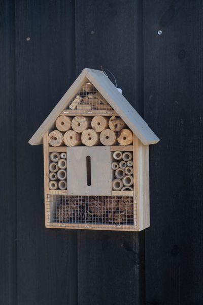 Hovedbilde Insekthotell tre – 22×9×29 cm – beige